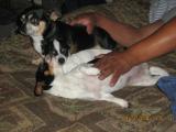 th_firstpicswidnewcam407.jpg